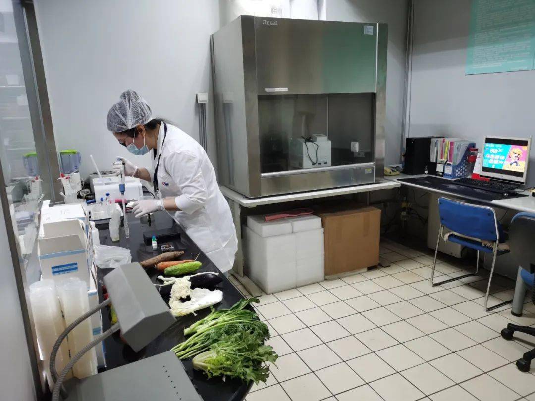 琼中食品检测实验室装修方案